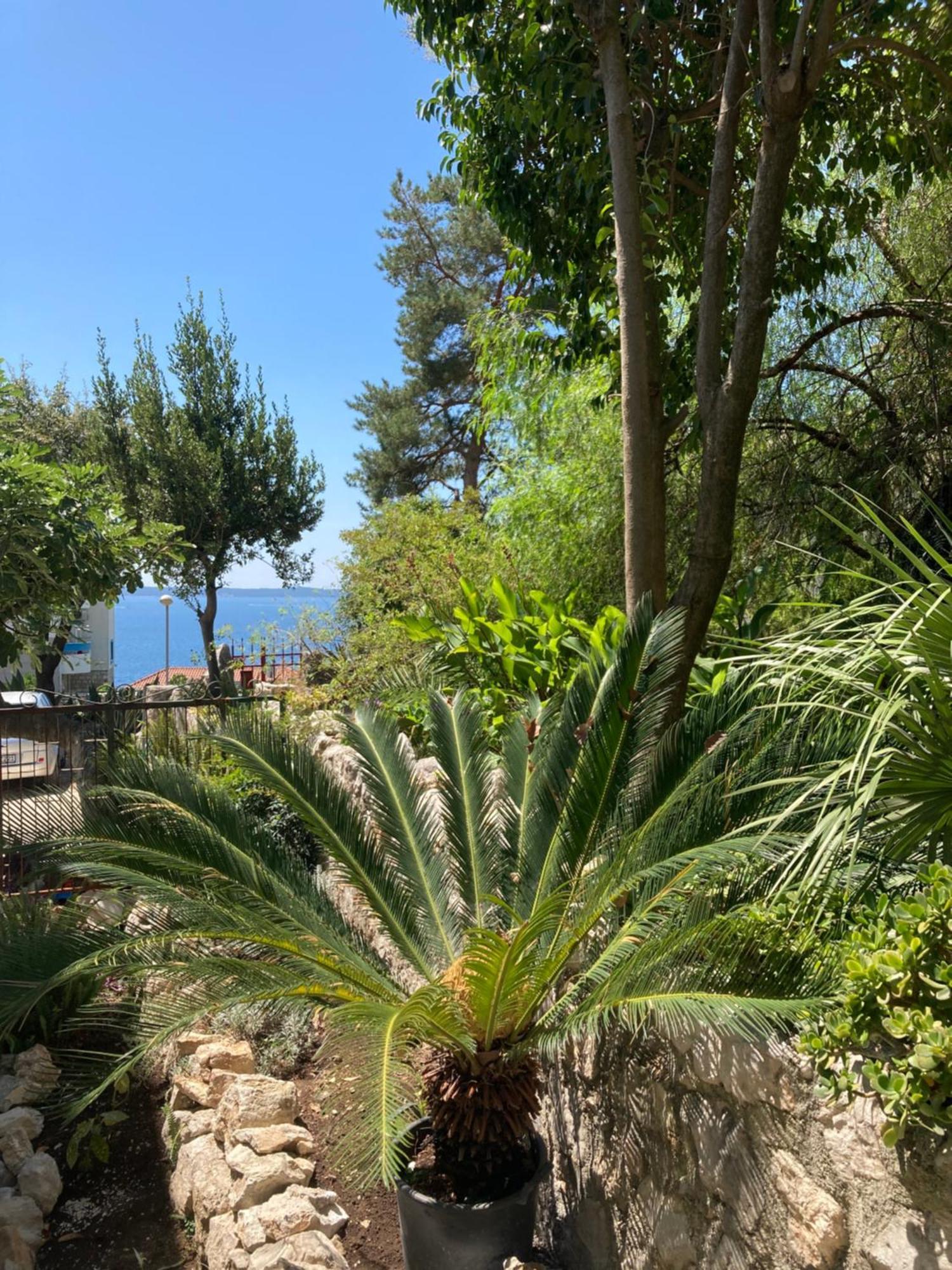 Apartments Milicevic Herceg Novi Exterior photo